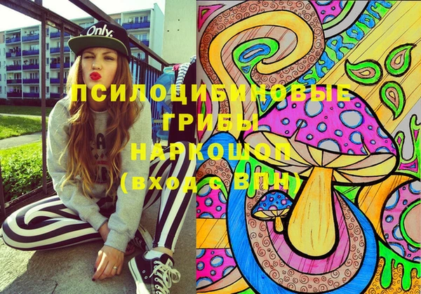 стафф Абаза