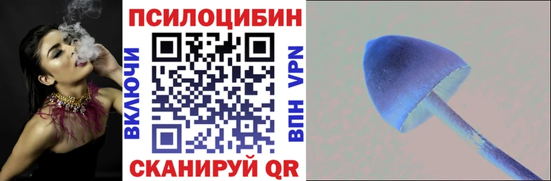 магазин    Энгельс  Псилоцибиновые грибы GOLDEN TEACHER 